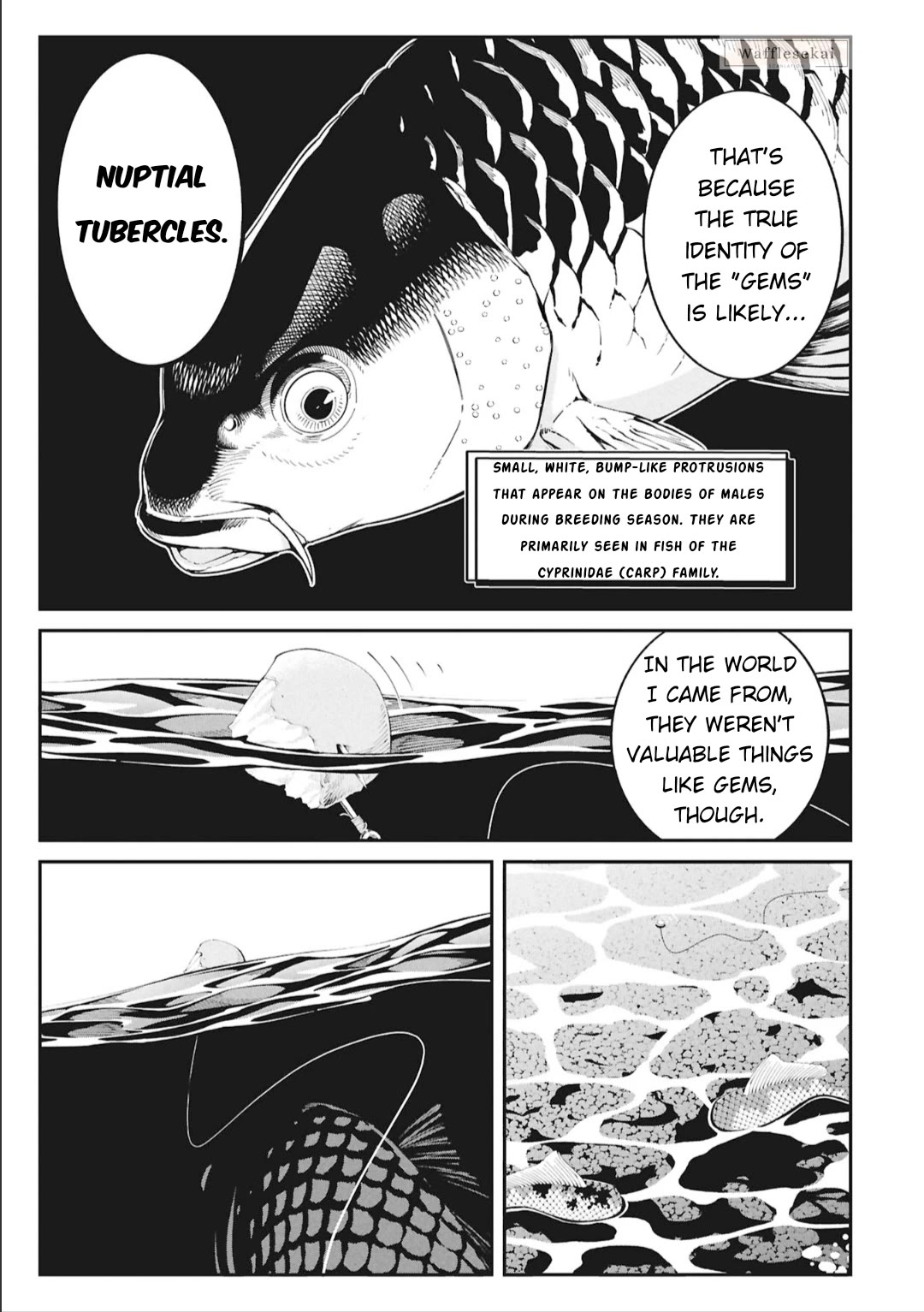 Wandering Around Another World With Just One Fishing Rod chapter 5 page 12