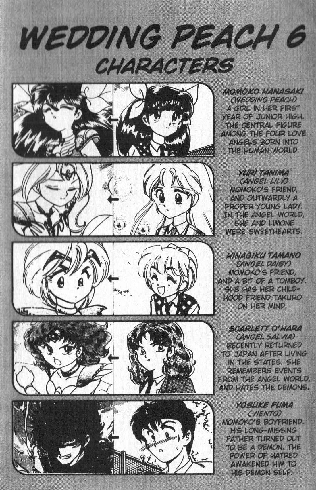 Wedding Peach chapter 24 page 5