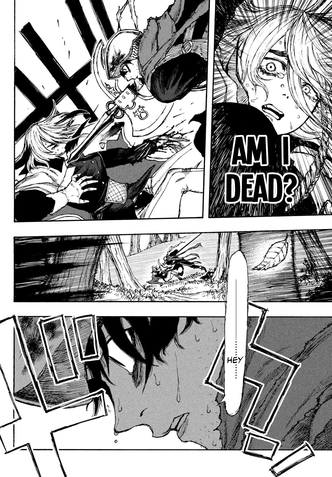 What Do You Wish For With Those Murky Eyes: Record of Highserk War chapter 2 page 29