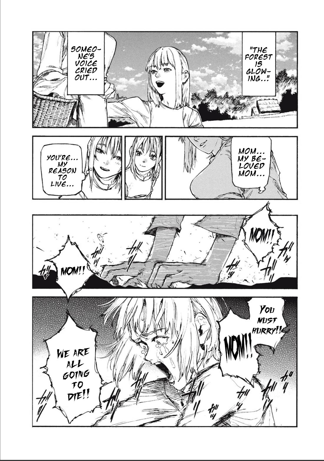 What Do You Wish For With Those Murky Eyes: Record of Highserk War chapter 22 page 2