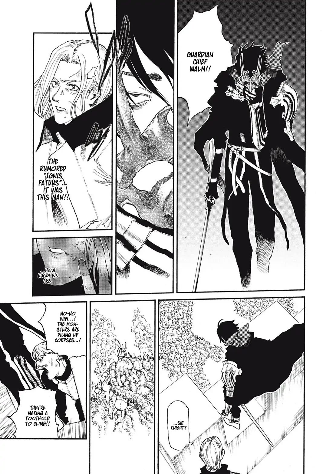 What Do You Wish For With Those Murky Eyes: Record of Highserk War chapter 26 page 13