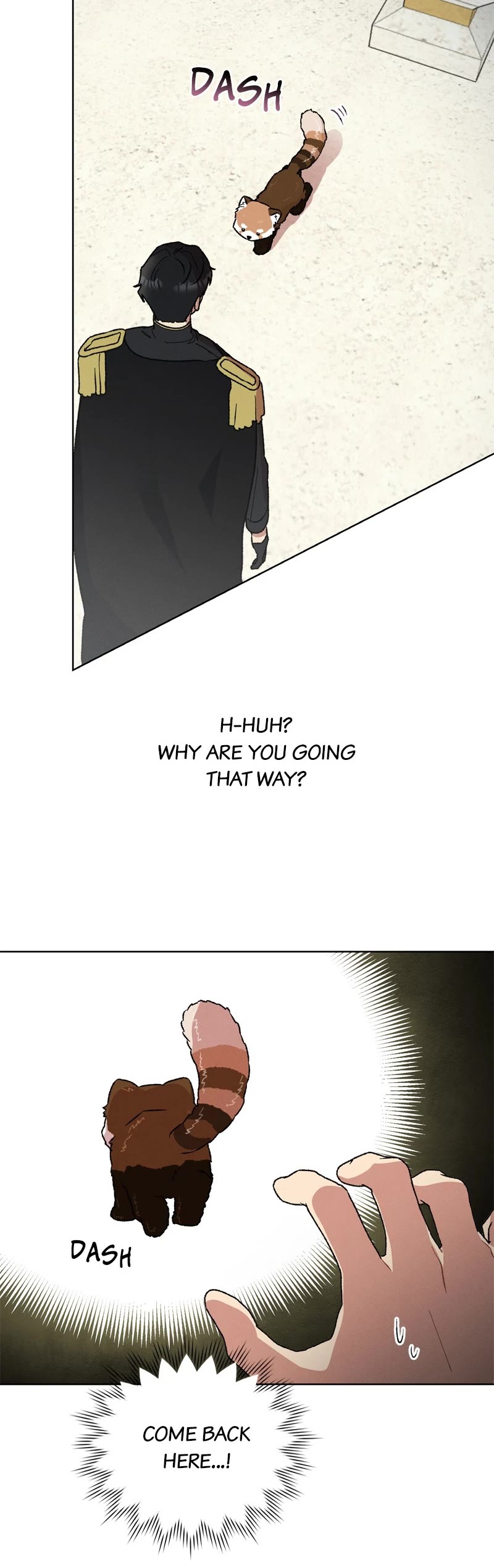 What Happens When the Sub Male Lead Goes on Strike chapter 12 page 25