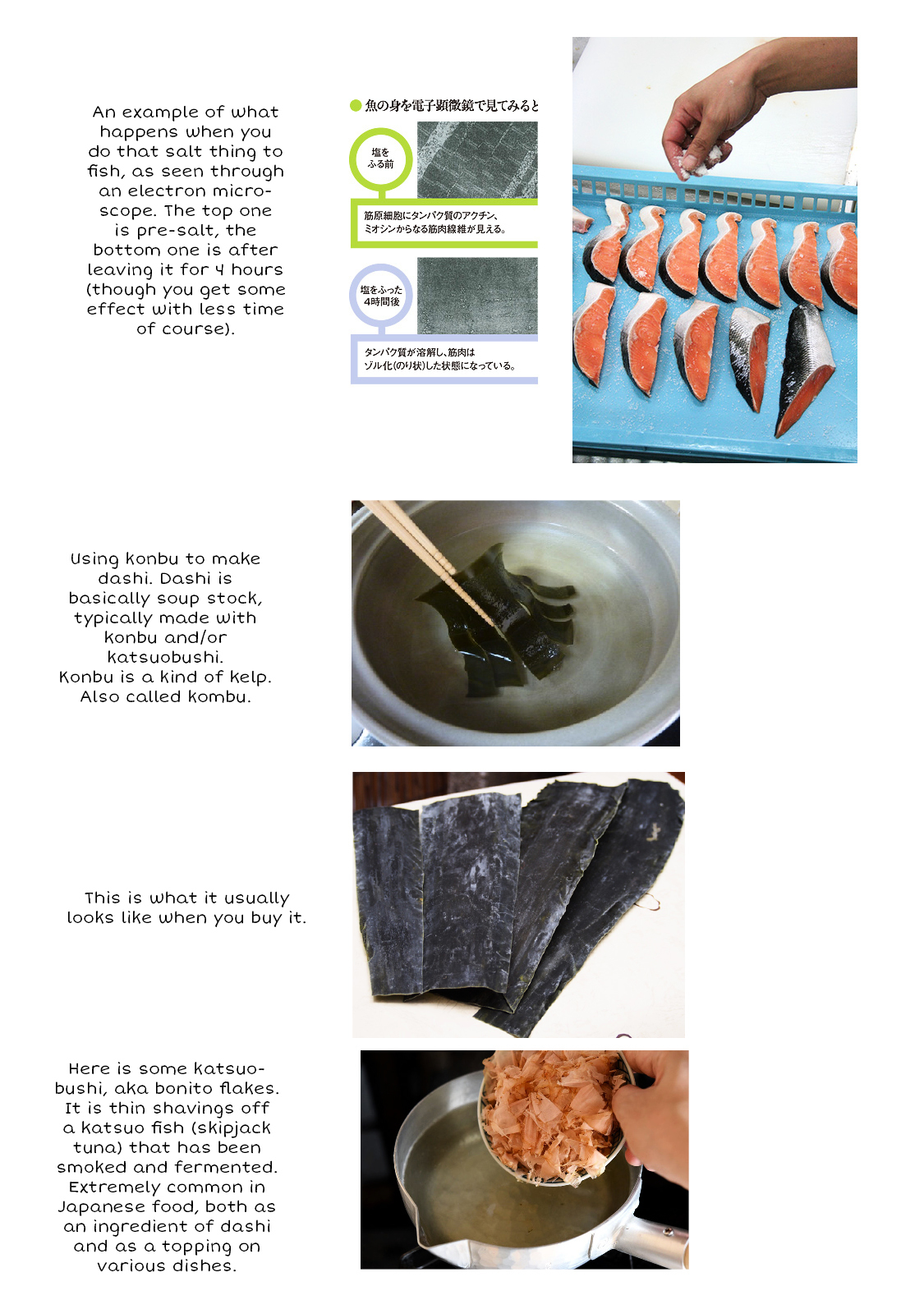 What's Cooking at the Emiya House Today? chapter 1 page 16