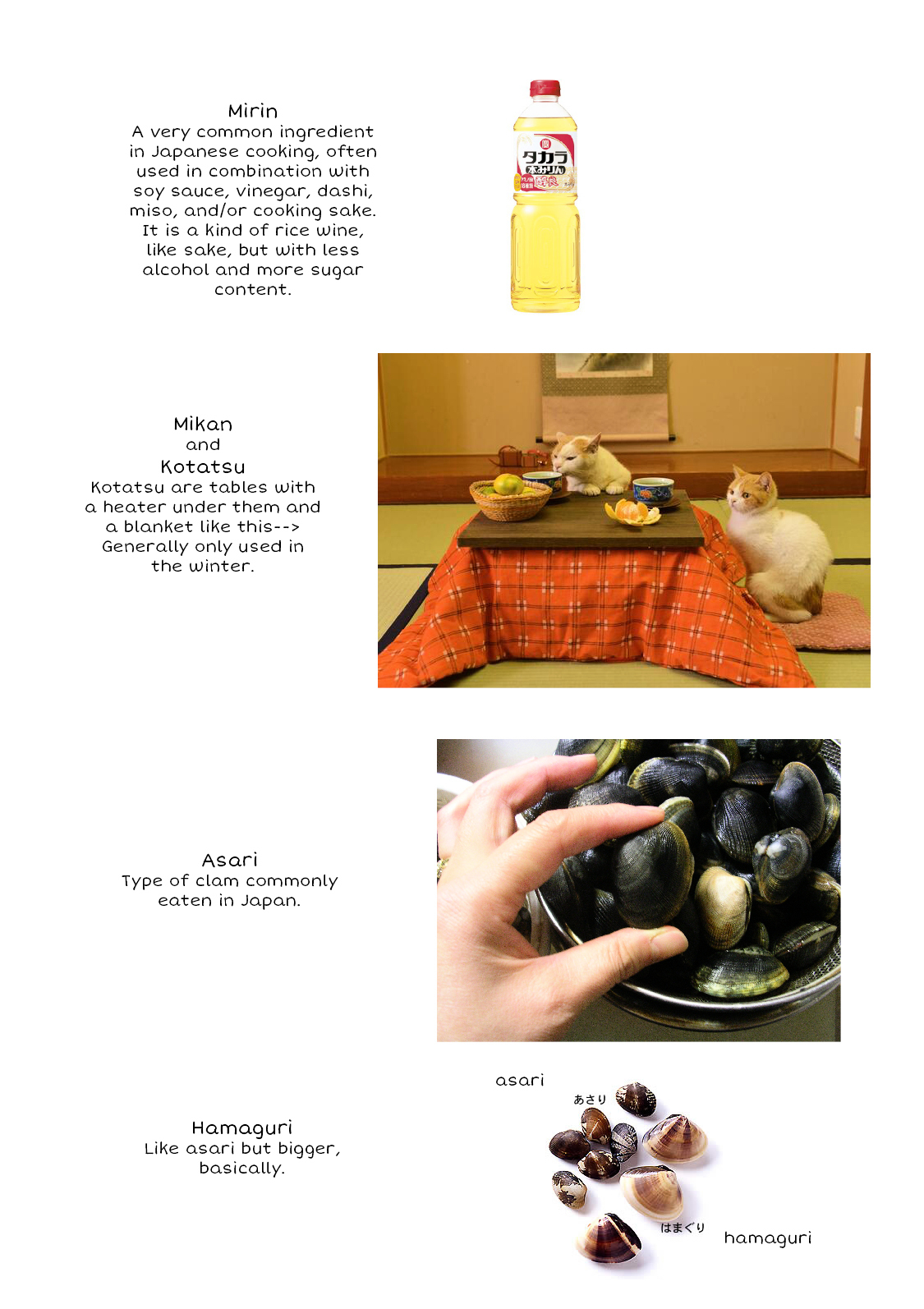 What's Cooking at the Emiya House Today? chapter 1 page 18