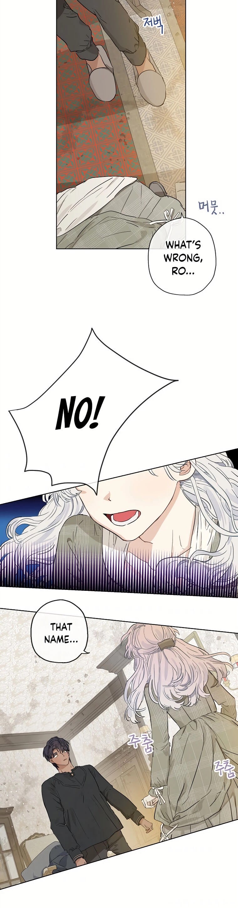 When the Count's Illegitimate Daughter Gets Married chapter 12 page 3