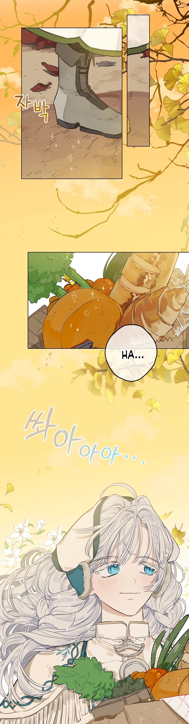 When the Count's Illegitimate Daughter Gets Married chapter 3 page 17