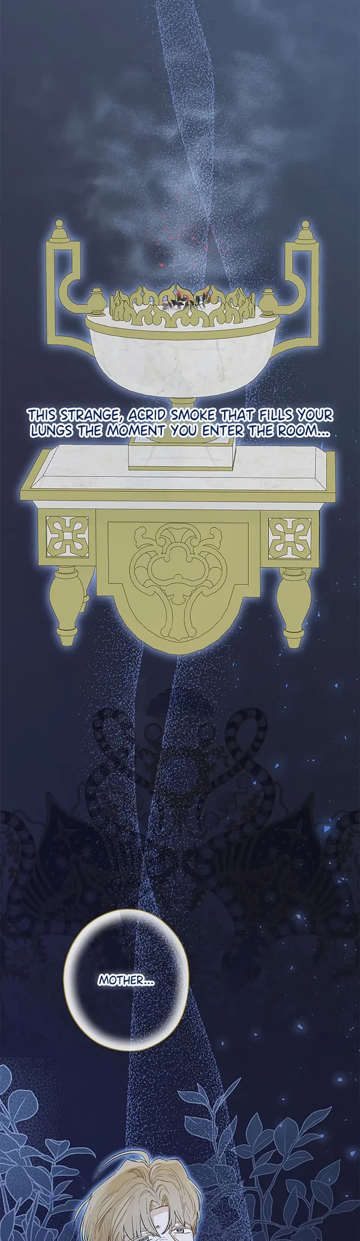 When the Count's Illegitimate Daughter Gets Married chapter 71 page 14