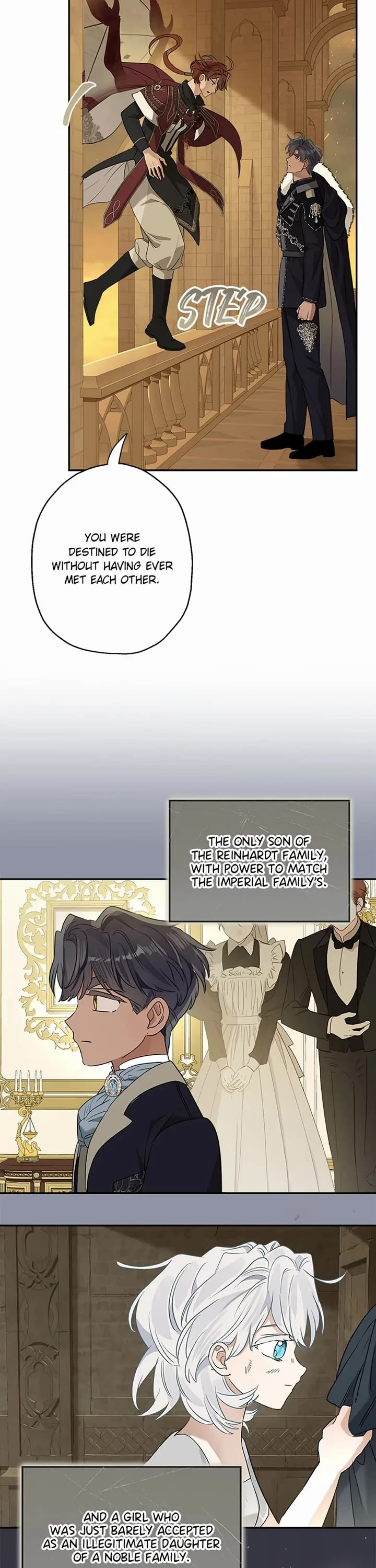 When the Count's Illegitimate Daughter Gets Married chapter 78 page 17