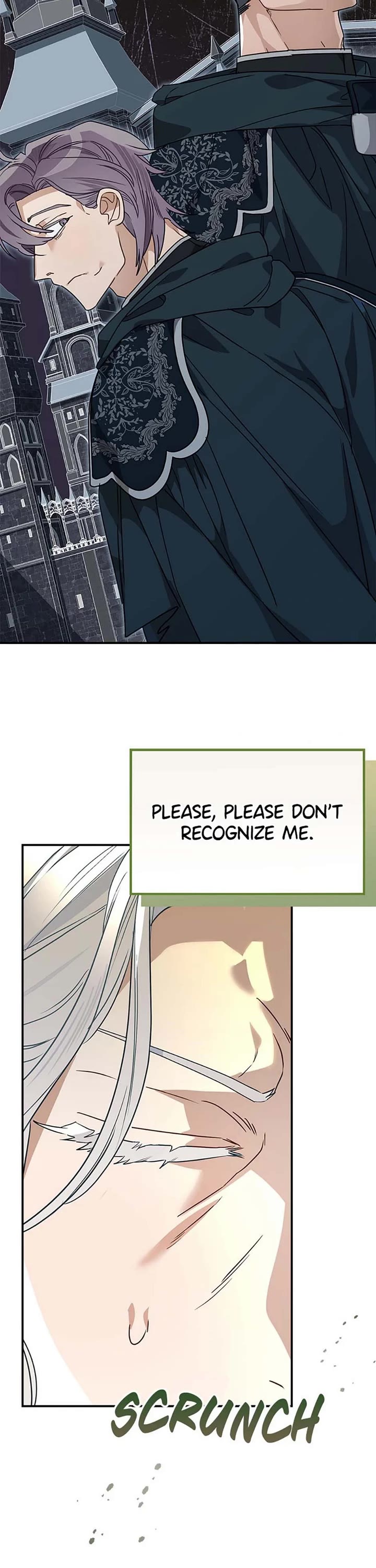 When the Count's Illegitimate Daughter Gets Married chapter 88 page 3