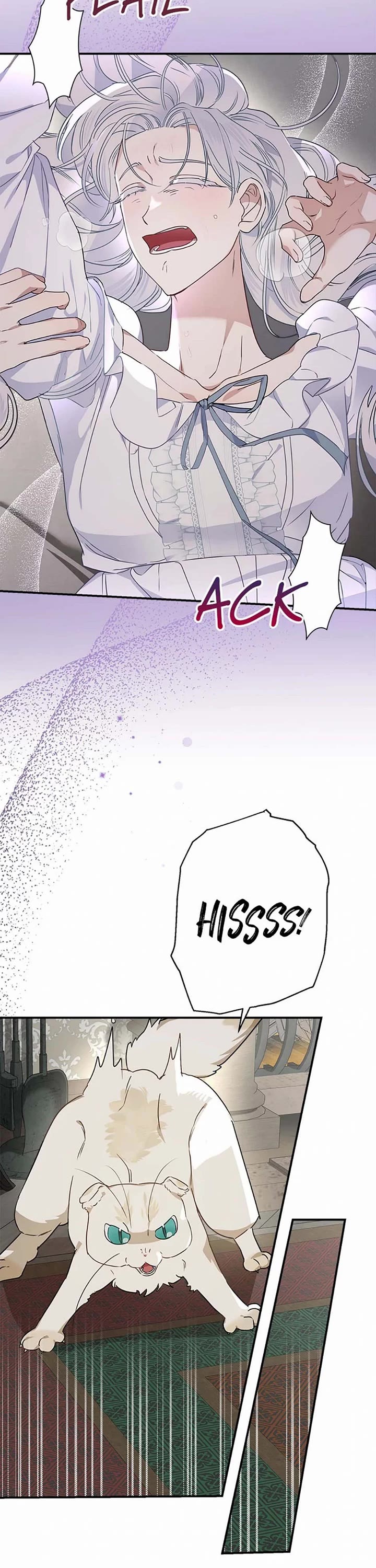 When the Count's Illegitimate Daughter Gets Married chapter 95 page 28