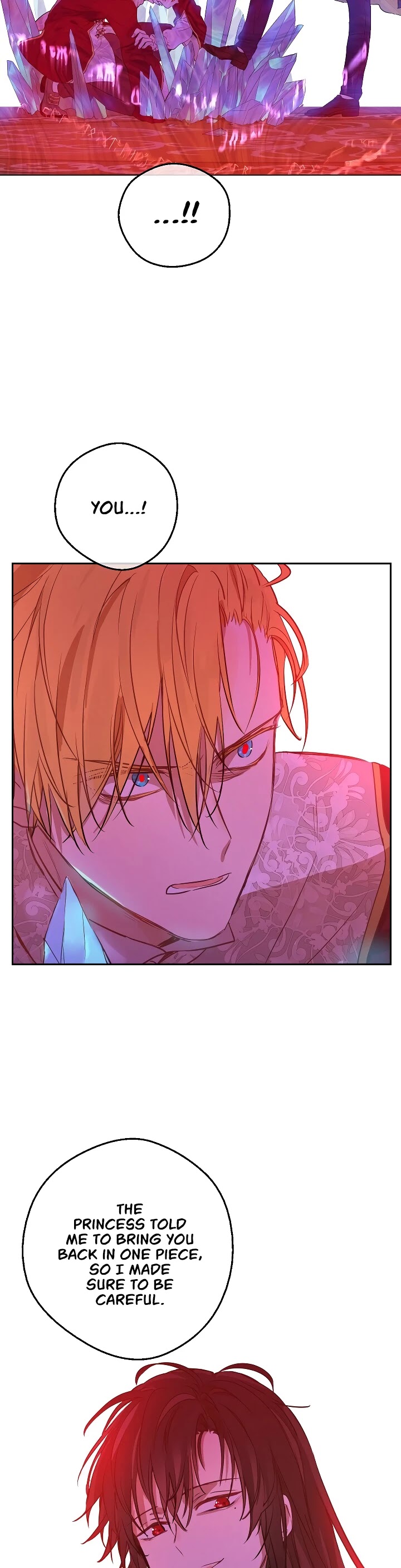 Who Made Me a Princess chapter 104 page 30