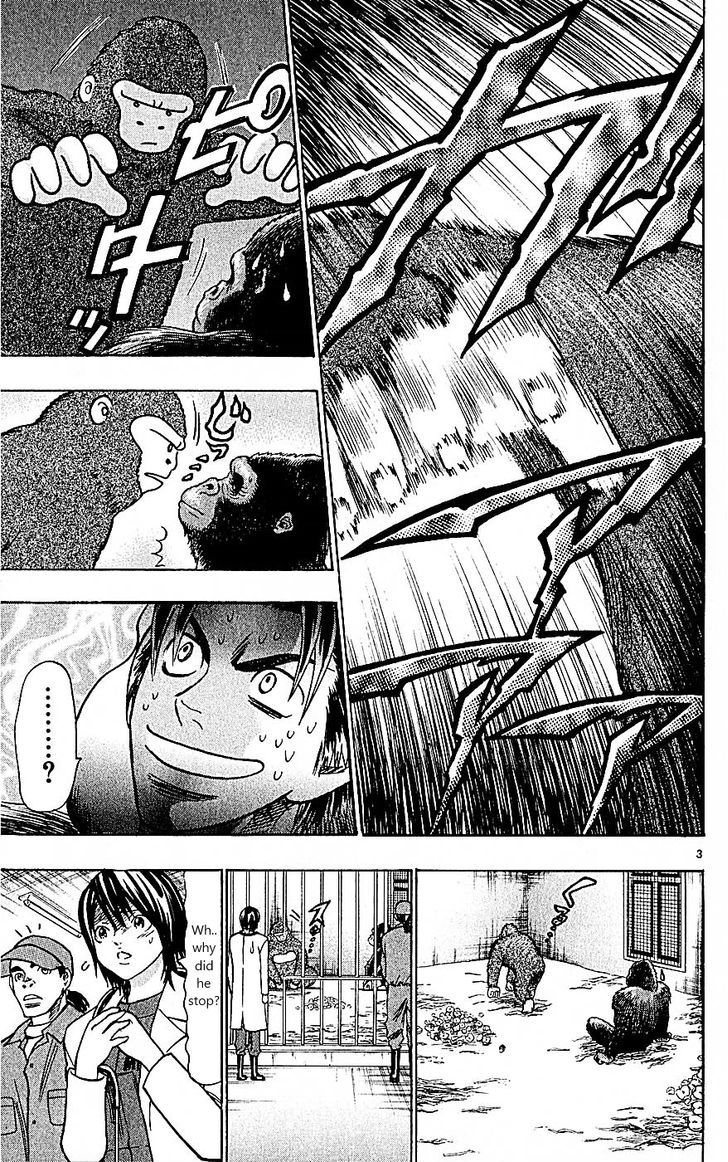 Wild Life chapter 103 page 3