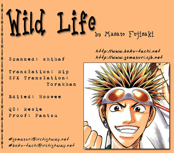 Wild Life chapter 11 page 33