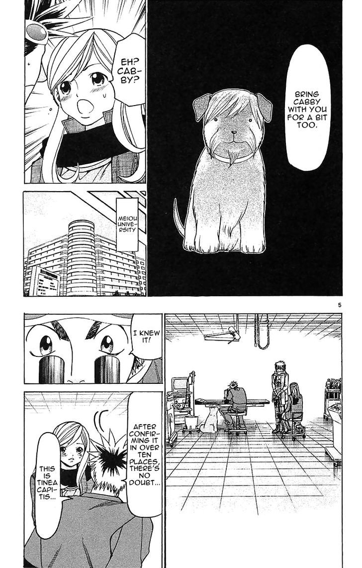 Wild Life chapter 143 page 5