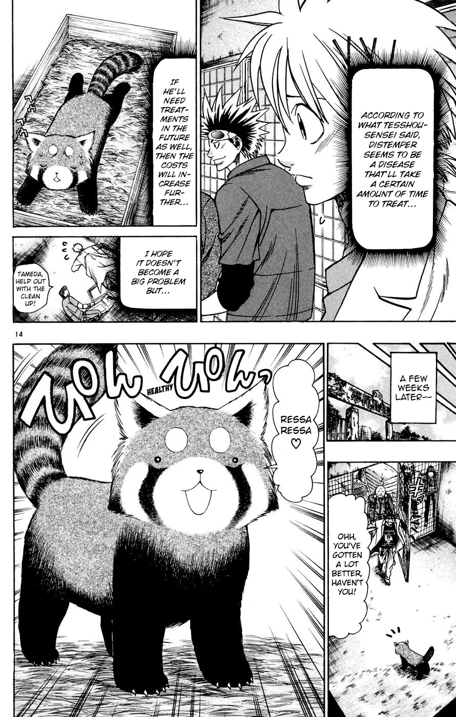 Wild Life chapter 159 page 17