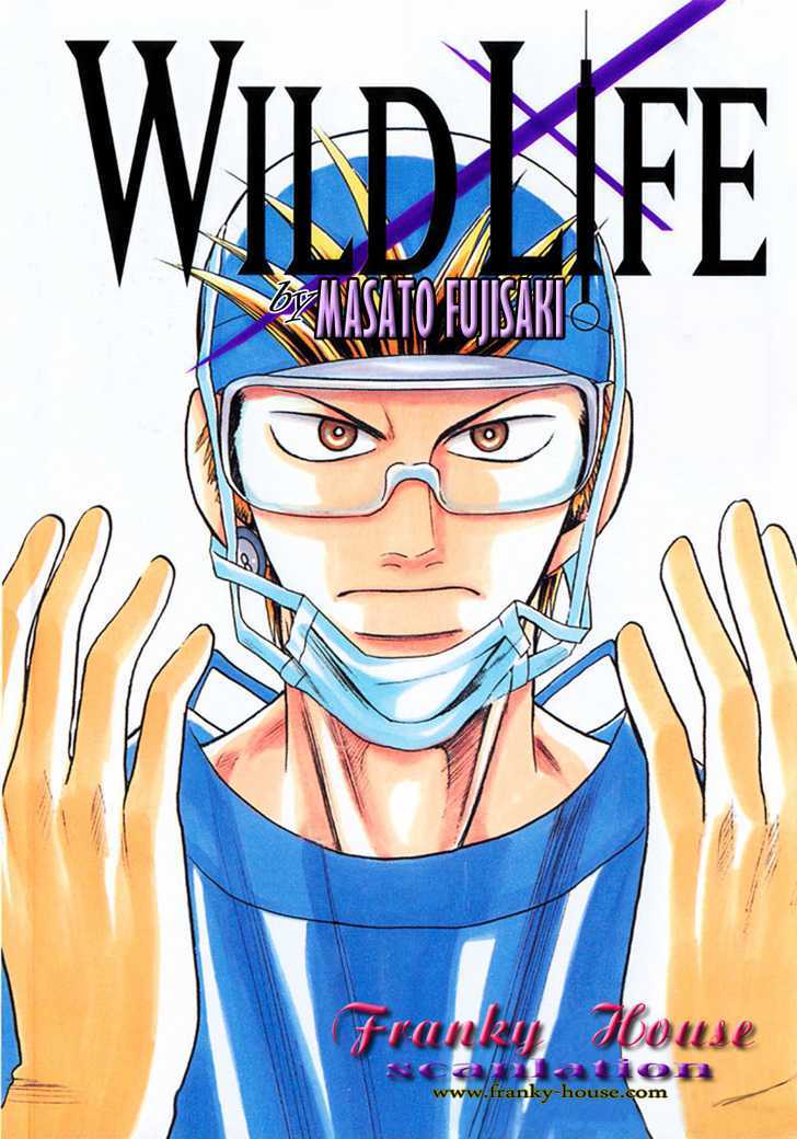 Wild Life chapter 24 page 1