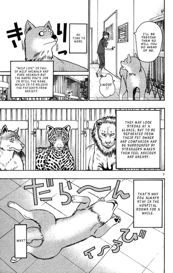 Wild Life chapter 32 page 8