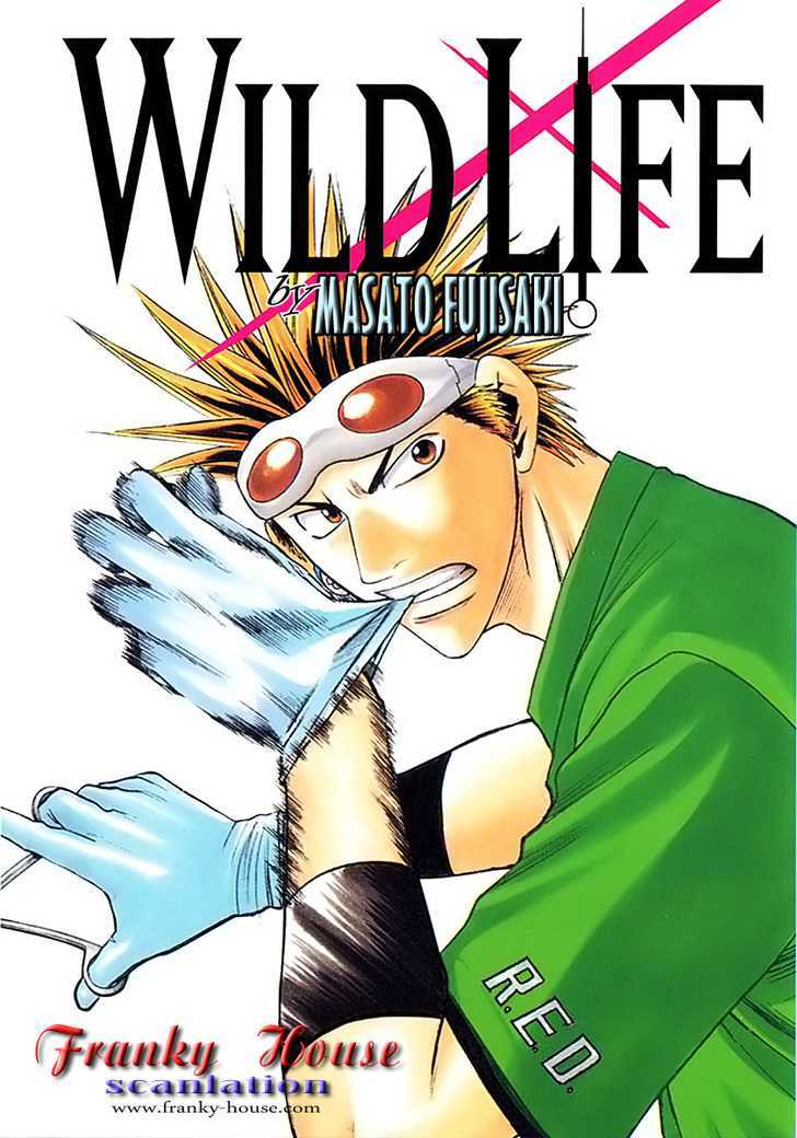 Wild Life chapter 33 page 1