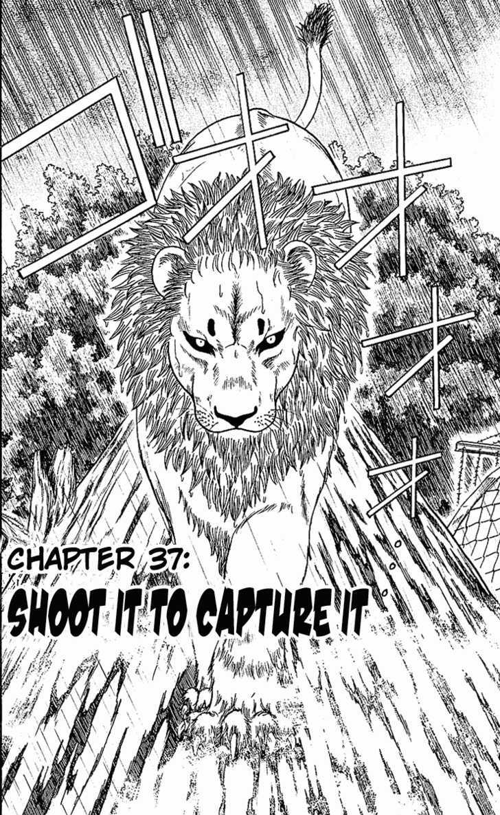 Wild Life chapter 37 page 7
