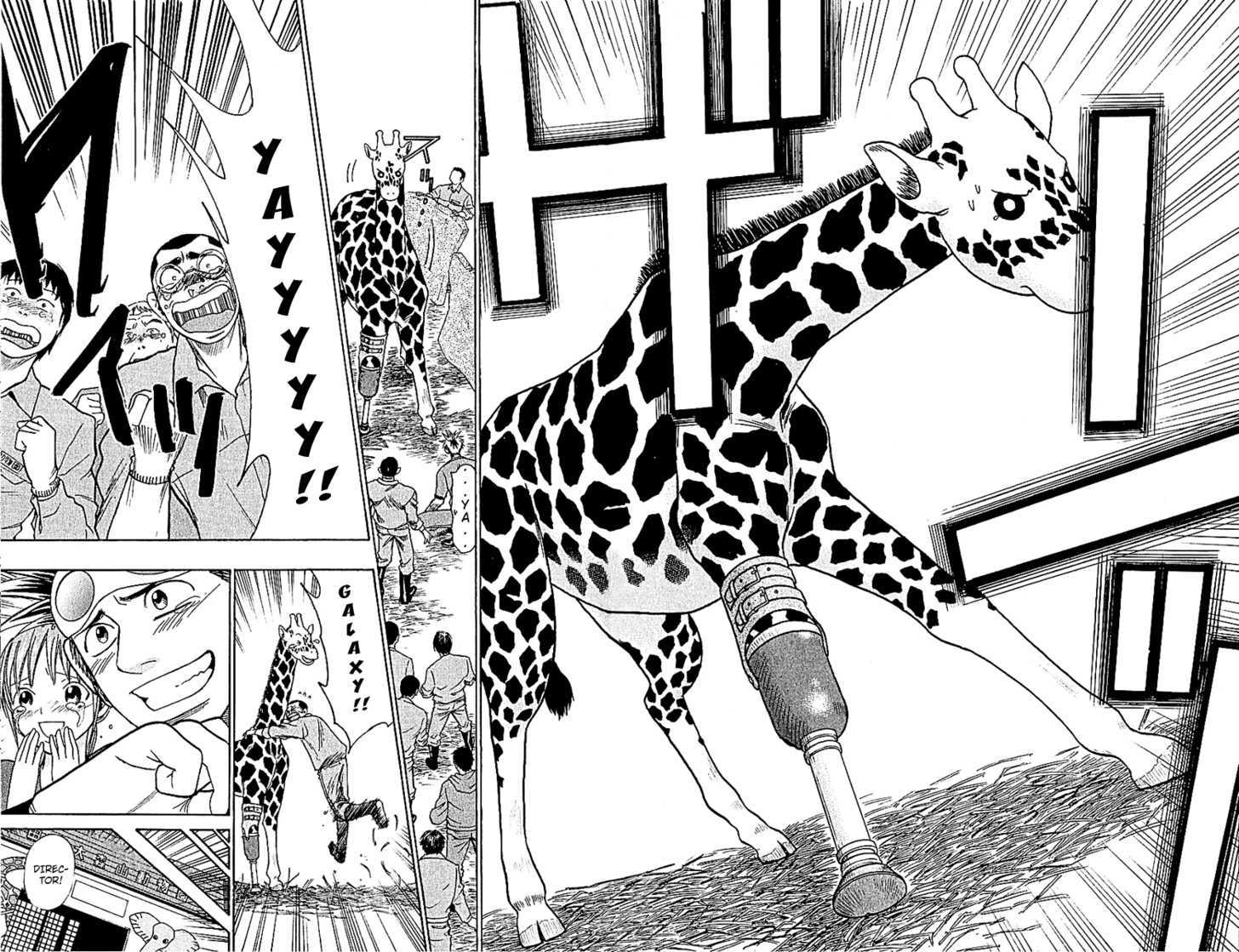 Wild Life chapter 46 page 21
