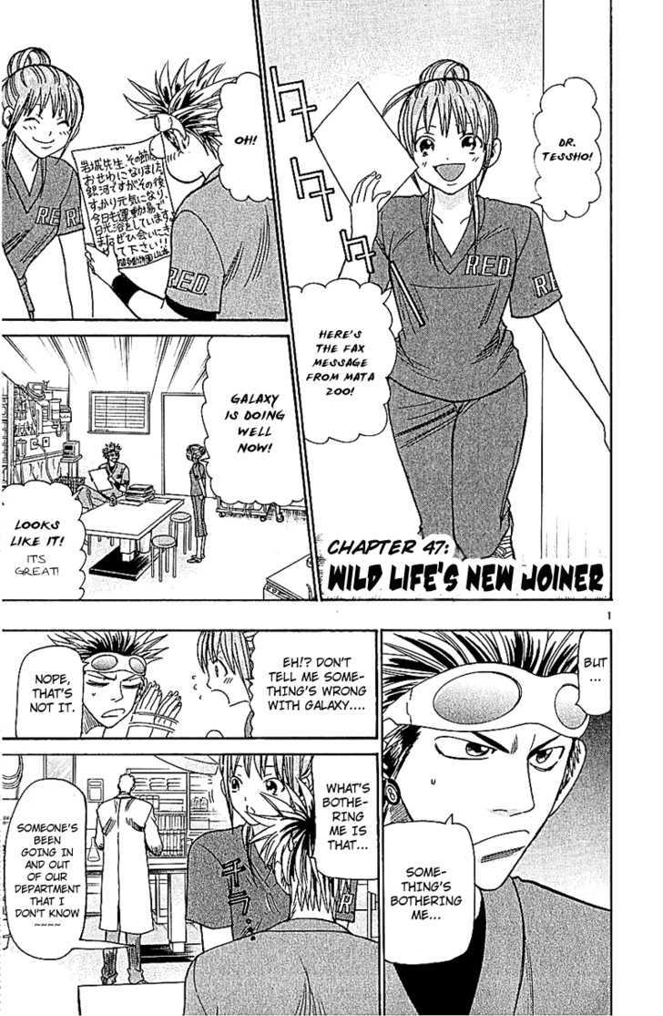 Wild Life chapter 47 page 3