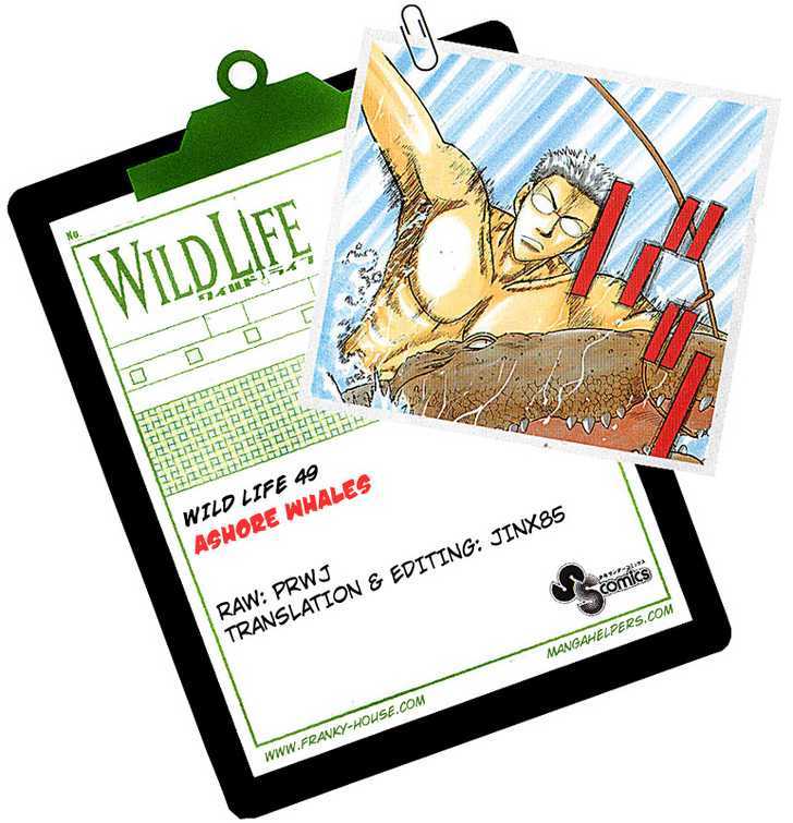 Wild Life chapter 49 page 27
