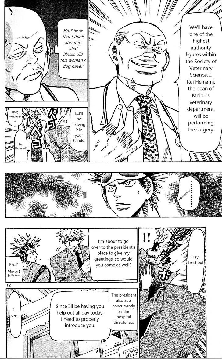 Wild Life chapter 87 page 16
