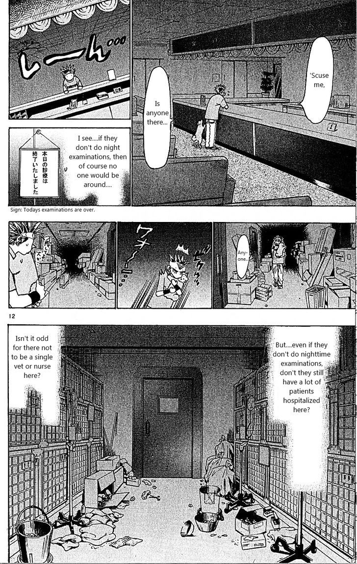 Wild Life chapter 88 page 12