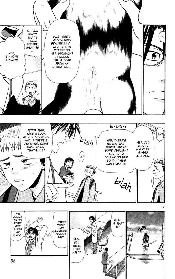 Wild Life chapter 9 page 13