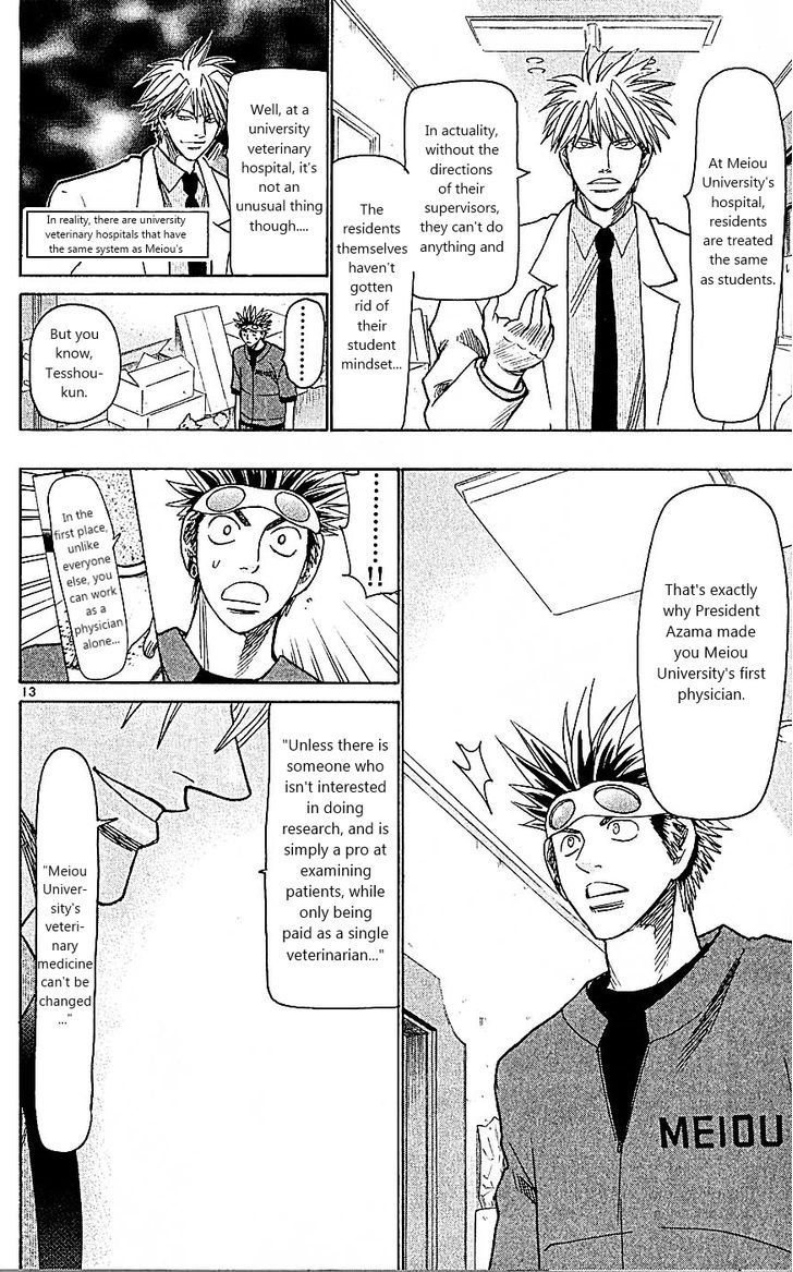 Wild Life chapter 95 page 13