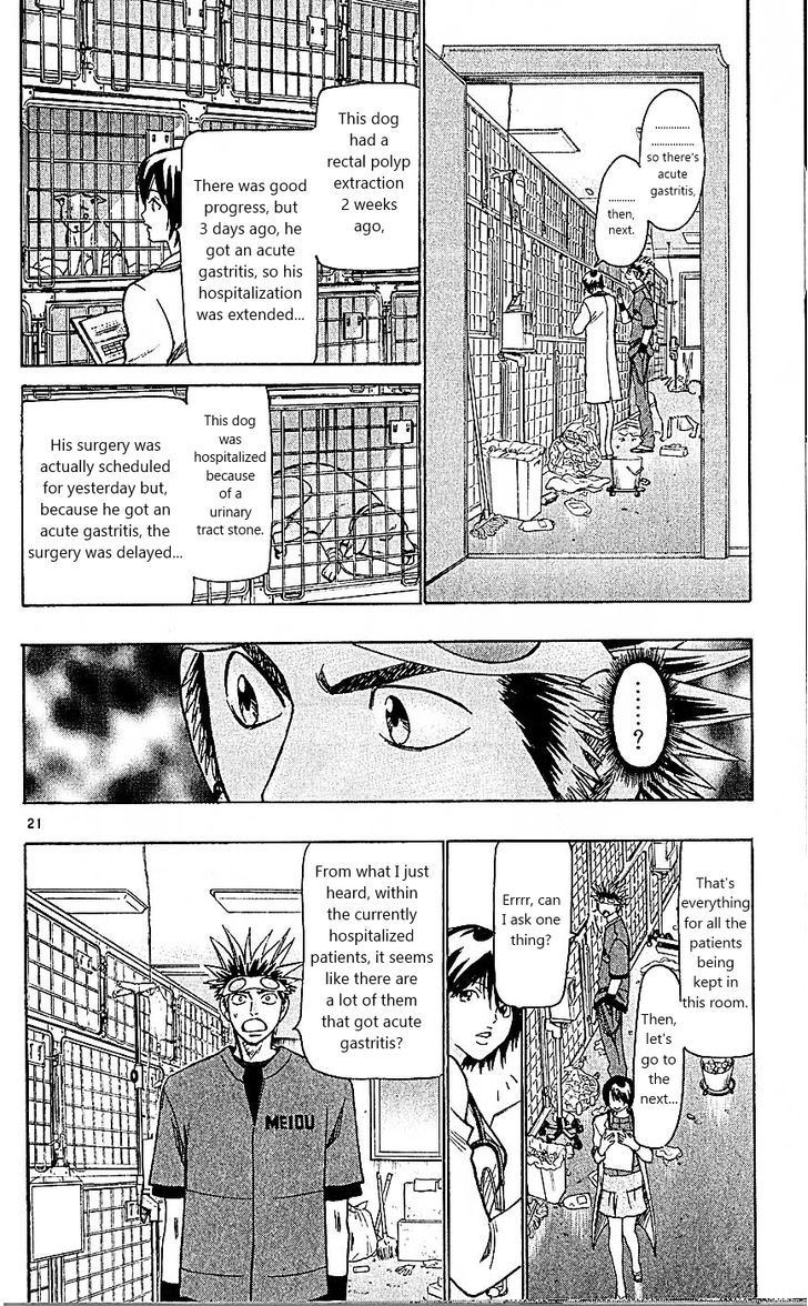 Wild Life chapter 95 page 21