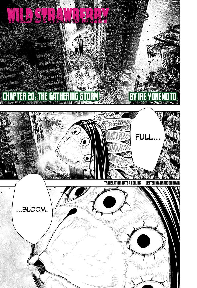 Wild Strawberry chapter 20 page 1