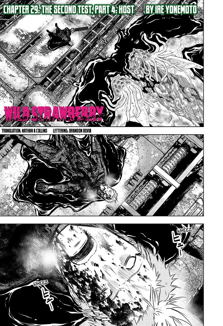 Wild Strawberry chapter 29 page 1