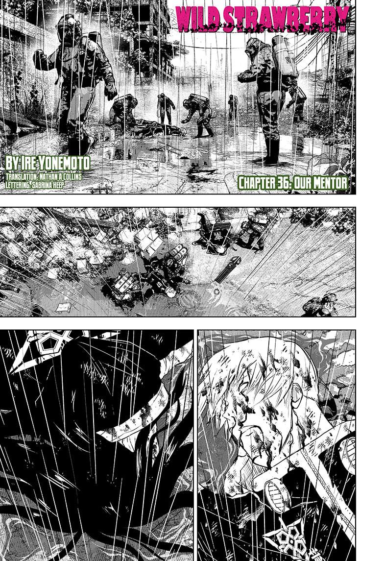 Wild Strawberry chapter 36 page 1