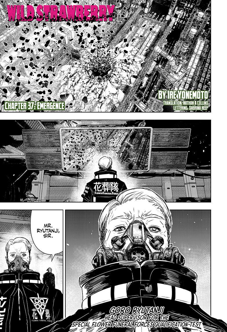 Wild Strawberry chapter 37 page 1