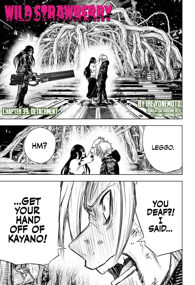 Wild Strawberry chapter 39 page 1
