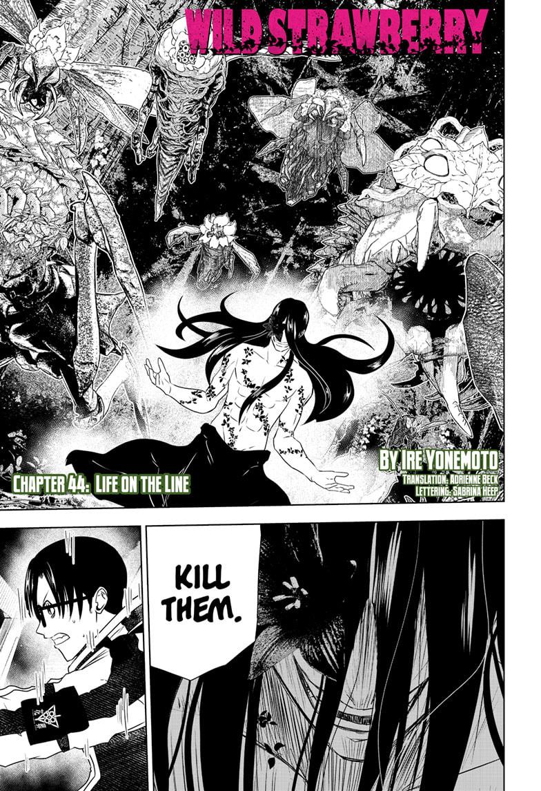 Wild Strawberry chapter 44 page 1