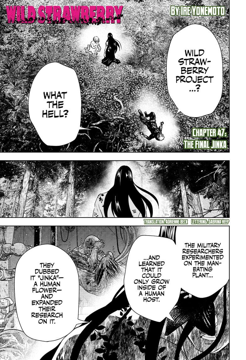 Wild Strawberry chapter 47 page 1