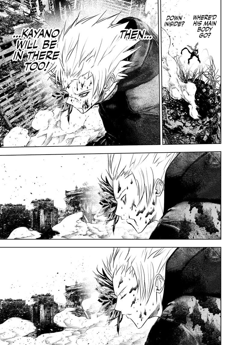 Wild Strawberry chapter 49 page 3