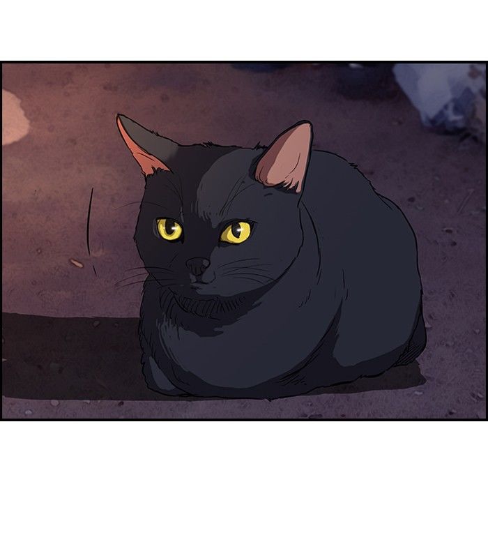 Wind Breaker chapter 108 page 47