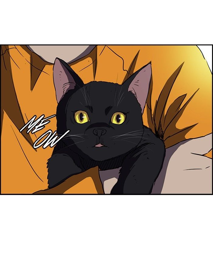 Wind Breaker chapter 151 page 55