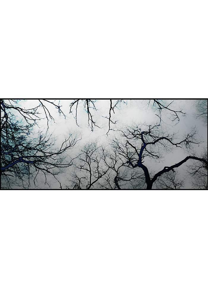 Wind Breaker chapter 172 page 67