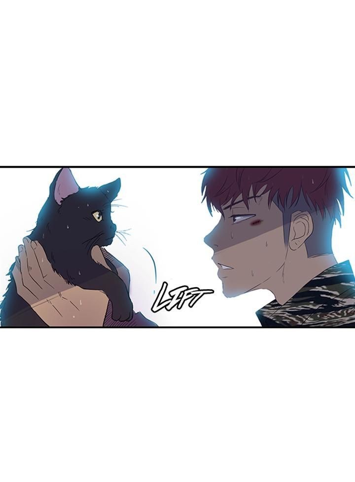 Wind Breaker chapter 18 page 37