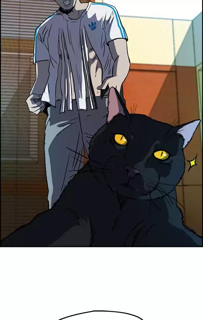 Wind Breaker chapter 196 page 39