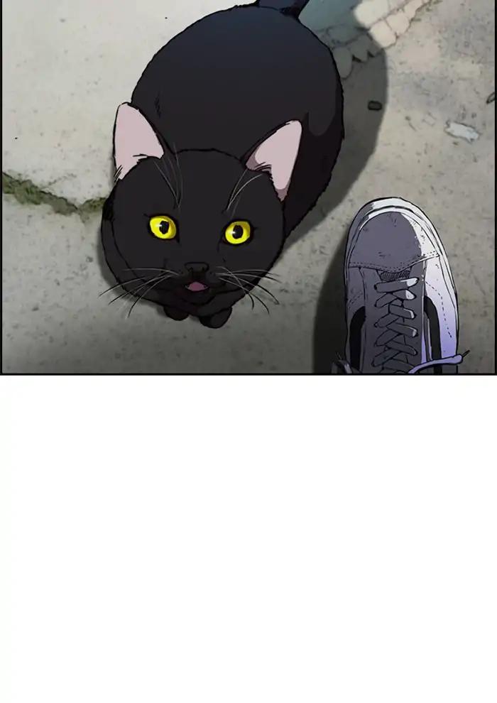 Wind Breaker chapter 208 page 70