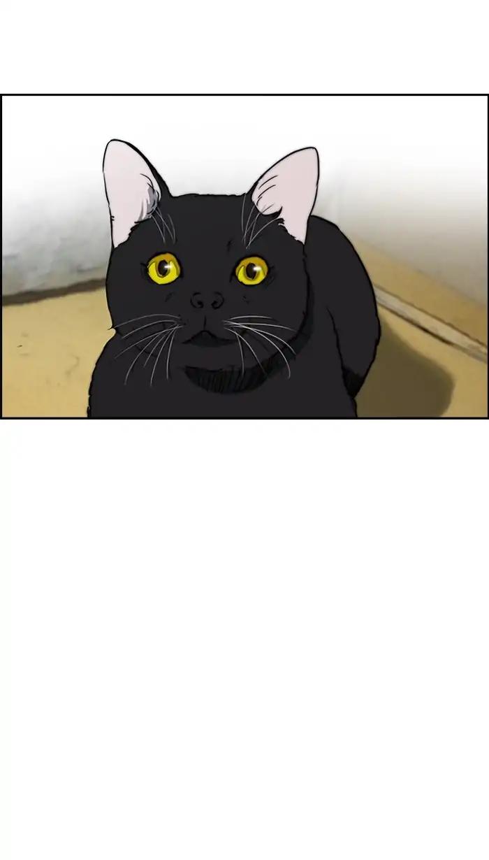 Wind Breaker chapter 219 page 44