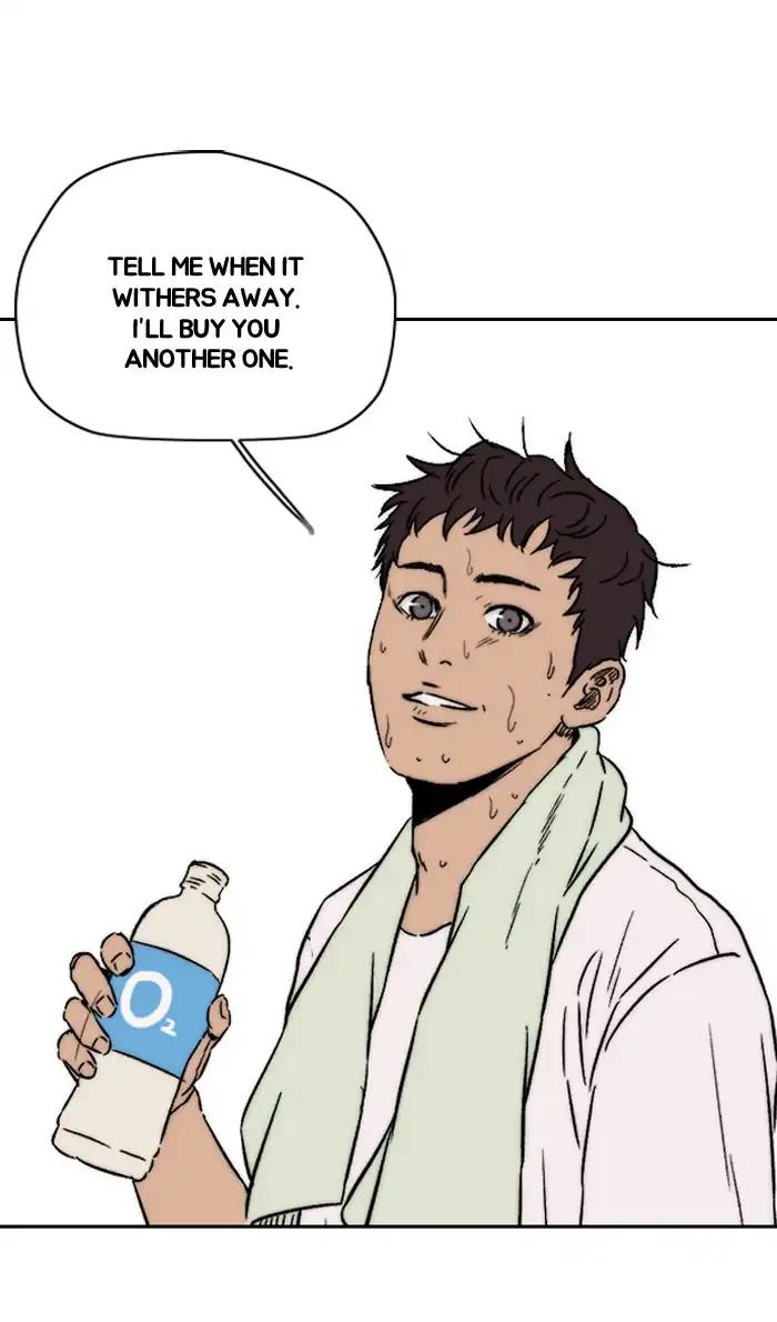 Wind Breaker chapter 219 page 57