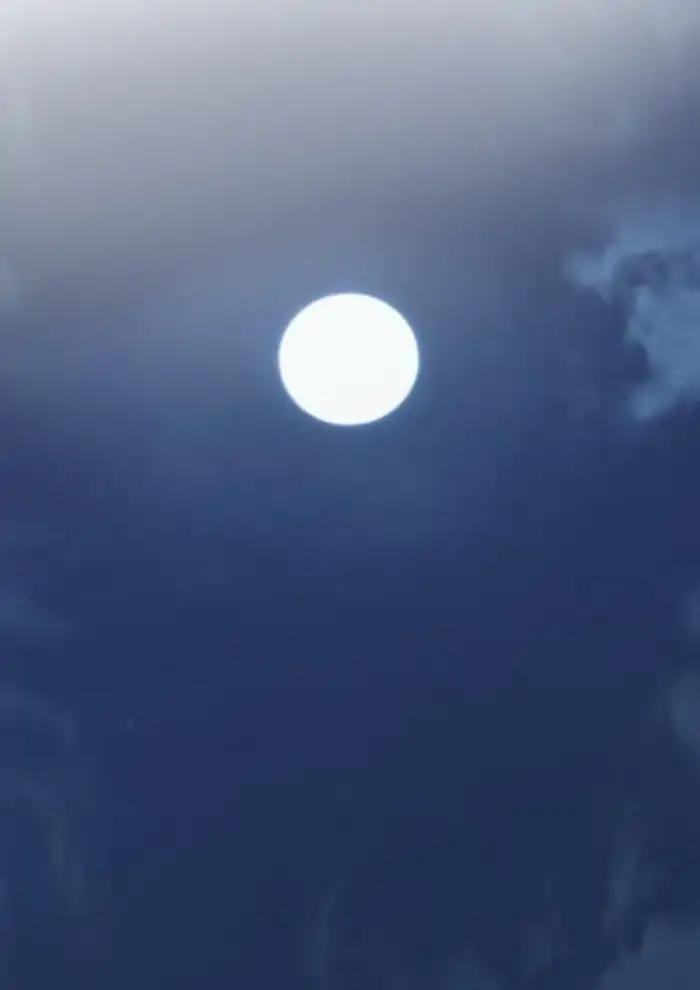 Wind Breaker chapter 234 page 114