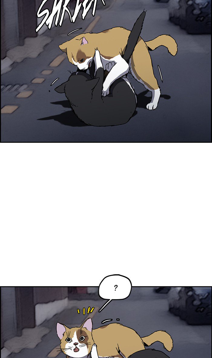 Wind Breaker chapter 239 page 2