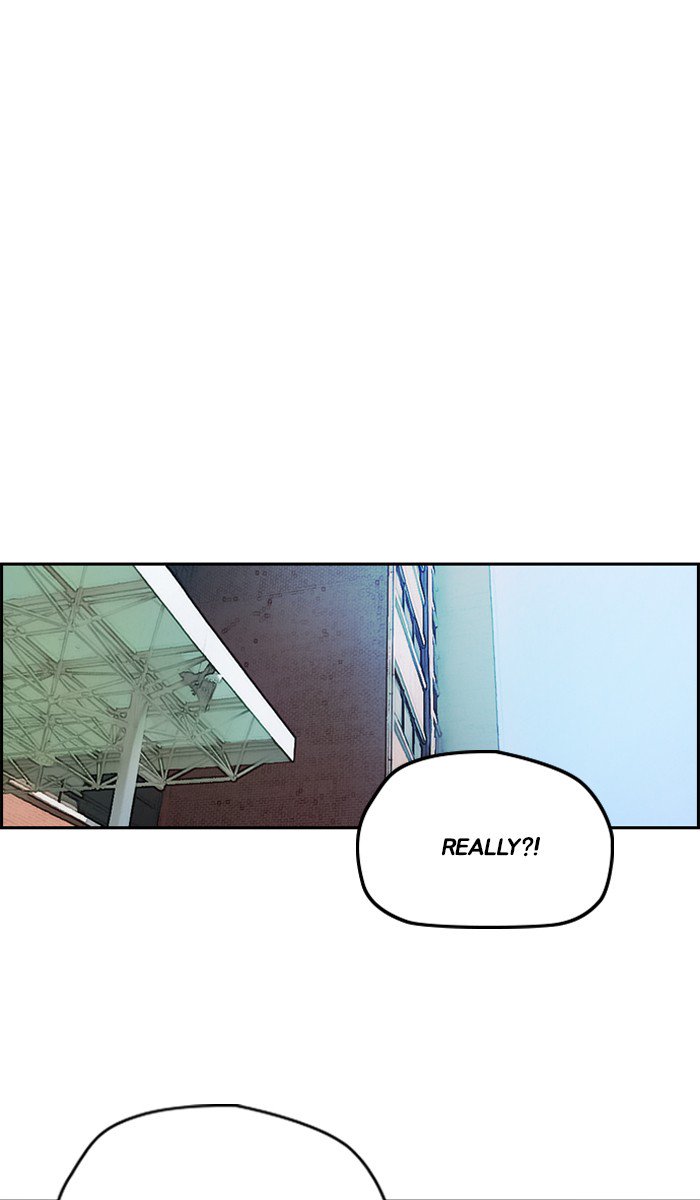 Wind Breaker chapter 239 page 43